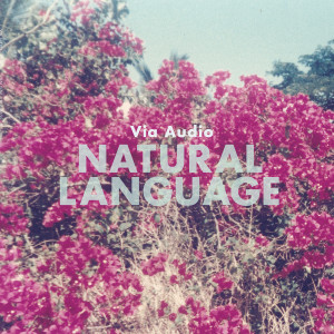 Via Audio - Natural Language cover